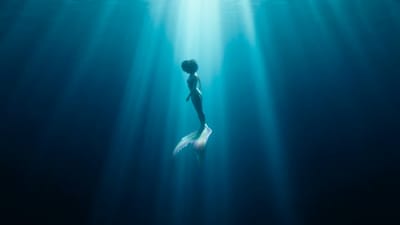 Song Beneath the Surface