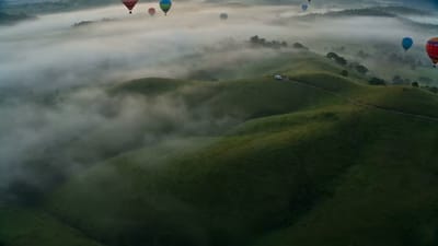 Balloons Above the Morning Fog