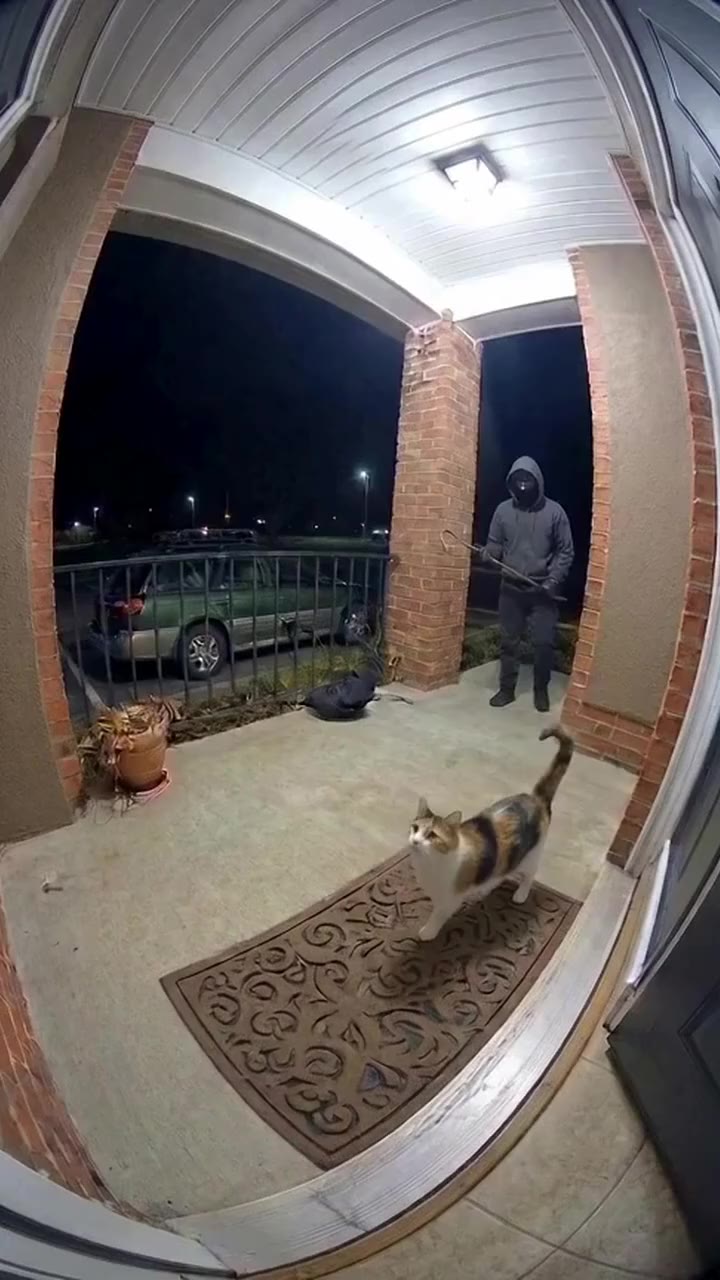 Viewmax reference · Ring cam